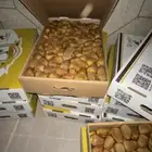 تمر سكري القصيم فاخر