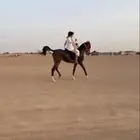 مهره كفو