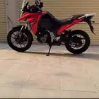 دباب