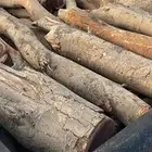 صندوق غماره