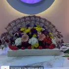 ورود ومناسبات
