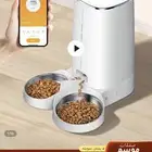 مستلزمات قط