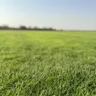 ثيل طبيعي c2000 تربة طينية