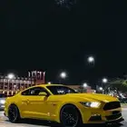 موستنج 5.0 بيفورمانس (قير عادي )
