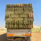 برسيم صافي
