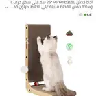 مستلزمات القطط