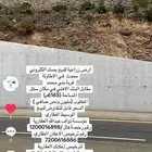 ارض زراعية للبيع في الاطاولة قرية بني محمد