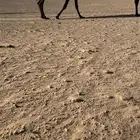 عشرا أم ثالث