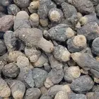 ماكا سوداء