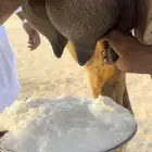خلفه حمرا مصغر تحتها بكره تحدي فل حليب