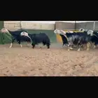 عرض بيع نجد