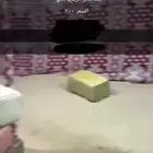 بيت شعر كربتين