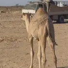 بكره لها 9 شهور