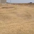 للبيع نص ارض في 1 م حصري