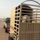 عربه خيل للبيع