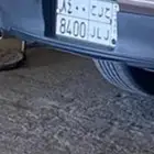 لوحة للبيع ( ح ل ح 8400)