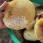 عسل صافي سدرة الجنوب