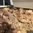 يوجد حطبب سمر معى توصيل