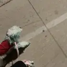 ماعندك وقت تمشي كلبك  امشيه بدالك  dog walker