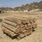 جرد سعف النخيل