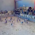حمام سليفر امهات