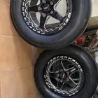 ويلد بيدلوك