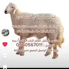 نجهز إعاشة المناسبات