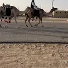 رحايل عمانيات