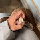 عنز بعناقها