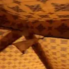 خيمة رحلات هوائية