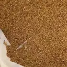 يوجد صاع برسيم بلدي