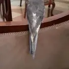 كروان ضايع