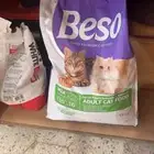 دراي فود بيسو