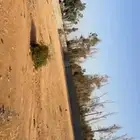 طريق المدينه