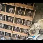 حمام فرنسي امهات العمر سنة
