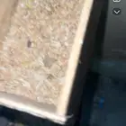 زوج يجهز ل انتجاج