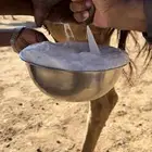 عشرا حمرا ساحليه منيحه كفو