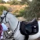 للبيع عدة ركوب خيل