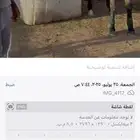 فرس للبيع لقحه لها 4 شهر في إلقاح ومعها جواز وفيها الحمره