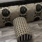 جلسة ظهر