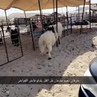 خرفان