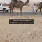 عشرا