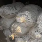 تمر علف للحلال اكياس كبار