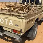 شاص لوحه سمر