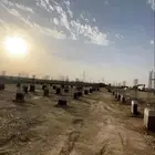 شيول صب بيز حفر ترحيل دفنيه توريد جميع مواد البناء .