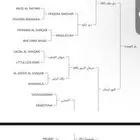 حصان واهو