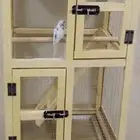 قصف عصفور