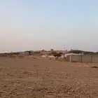 للبيع ارض زراعية في المشاعلة المزاحمية