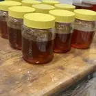 عسل سدر اصلي للبيع