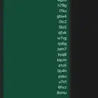 رباعي تيك توك